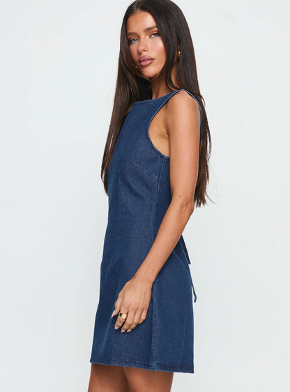 Indigo Curve Denim Dress